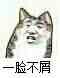 《龙之岛战纪》评测:小心!野生宠物出没!图片5